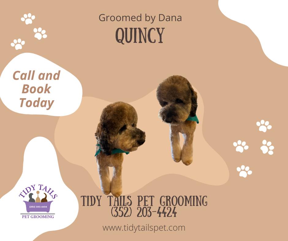 Groomed Pet